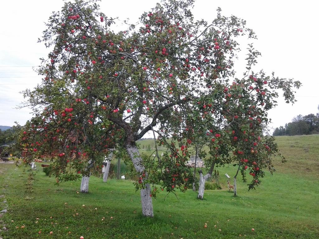 Villa Pumpuri Svente Esterno foto